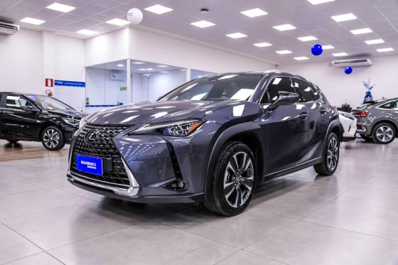 LEXUS UX 250h 2.0 VVT-I HYBRID LUXURY CVT